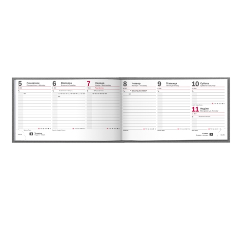 Щотижневик 2016 кишеньк. Shine срб/т сріблястий - Фото 2