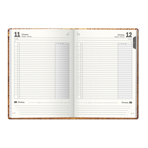 Щоденник напівдат. Престиж Pyton золотий - Фото 2