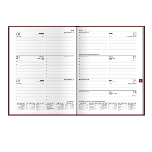 Щоденник 2016 Стандарт CAPYS жовто-блакитний - Фото 2