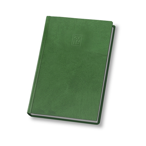 Щоденник 2016 Стандарт FANTASY слп/т зелений - Фото 1