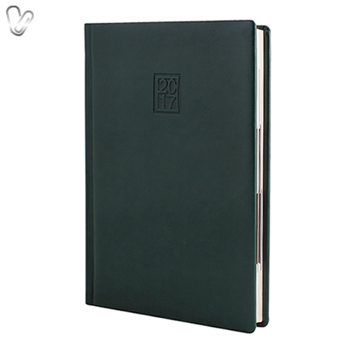 Щоденник 2017 Стандарт CAPRICE слп/т зелений - Фото 1
