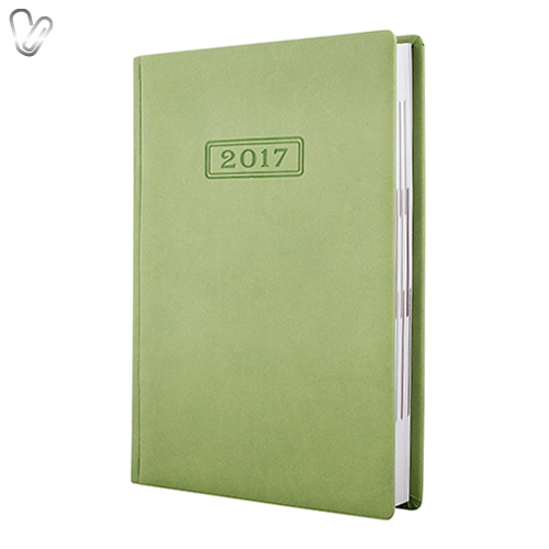 Щоденник 2017 Стандарт VIVELLA слп/т фісташковий - Фото 1