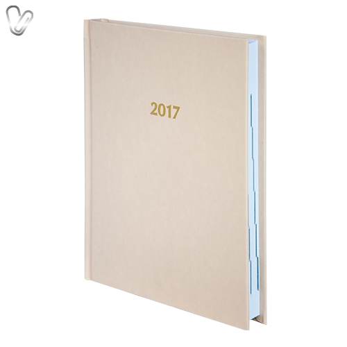 Щоденник 2017 Стандарт Strong з/т  молочний - Фото 1