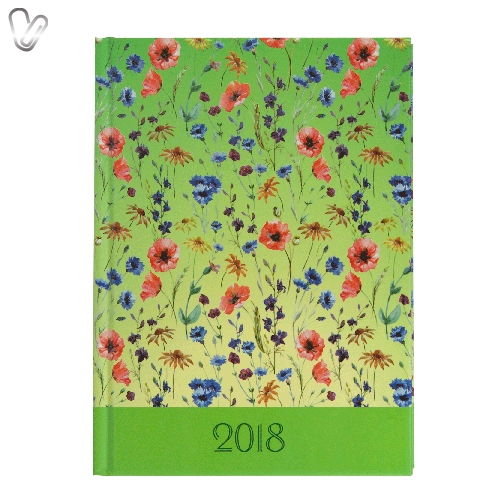 Щоденник 2018 Стандарт Provence салатовий - Фото 1