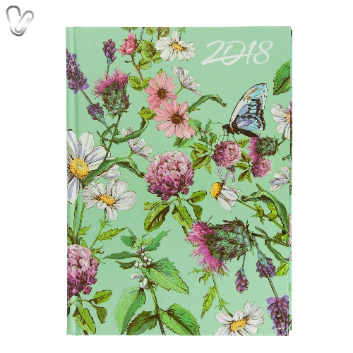 Щоденник 2018 Стандарт Estilo салатовий - Фото 1