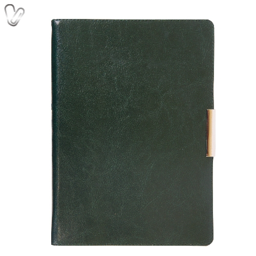 Щоденник 2019 Стандарт Salerno б/т зелений - Фото 1