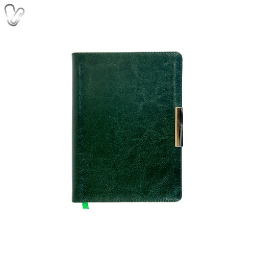 Щоденник 2018 карман. Salerno зелений - Фото 1