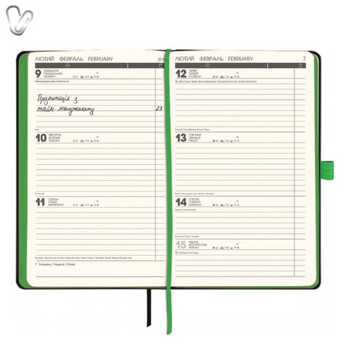 Щотижневик 2018 Смарт Strong чорний, зелений зріз - Фото 2