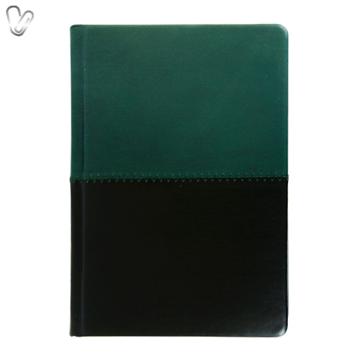 Щоденник 2018 Стандарт Quattro б/т зелений+чорний - Фото 1