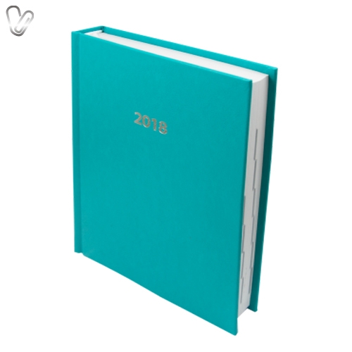 Щоденник 2019 Стандарт Strong з/т бірюзовий - Фото 1