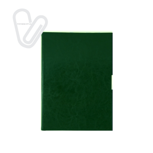 /Щоденник дат. 2020 SALERNO, A4, 336 стор., зелений - Фото 1