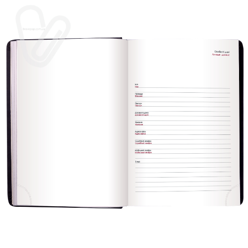 Щоденник датов.2021 BASE (Miradur), L2U, A6, синій, бумвініл/поролон - Фото 3