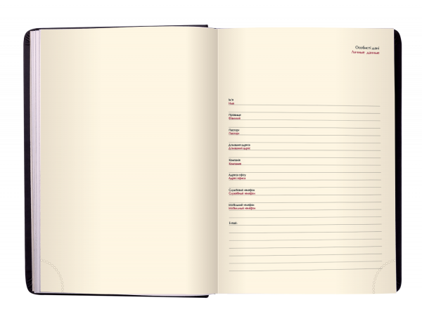 Щоденник датов. 2021 STAR, A5, золотий, штучна шкіра - Фото 2