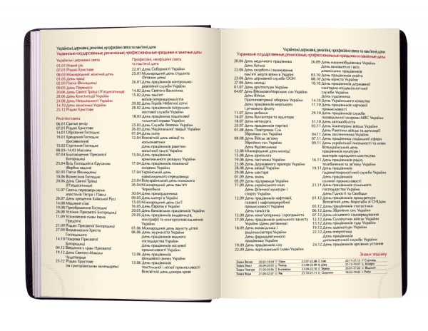 Щоденник датов. 2021 STAR, A5, золотий, штучна шкіра - Фото 5