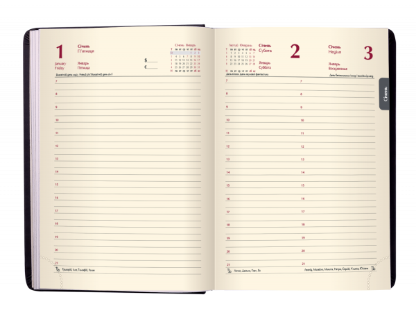 Щоденник датов. 2021 STAR, A5, золотий, штучна шкіра - Фото 6