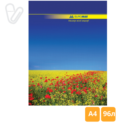 Книга обліку 96л клітинка А4 ламін. обкл. офсет NATURE Buromax - Фото 1
