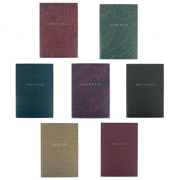 Книга обліку 96л клітинка А4 ламін. обкл. офсет EARTH COLORS Axent - Фото 1