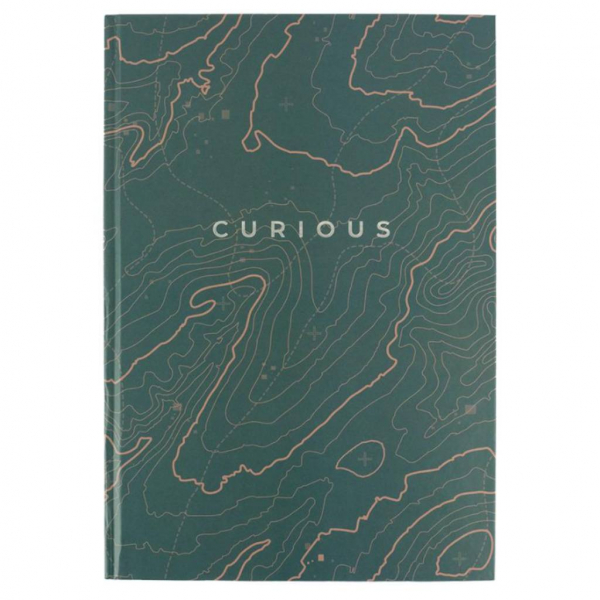 Книга обліку 96л клітинка А4 ламін. обкл. офсет EARTH COLORS Axent - Фото 2