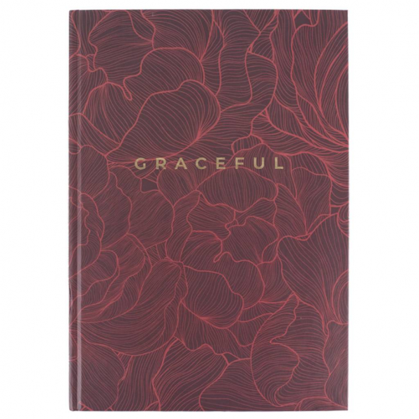 Книга обліку 96л клітинка А4 ламін. обкл. офсет EARTH COLORS Axent - Фото 5