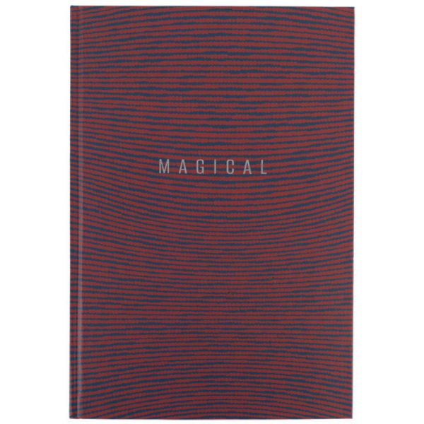 Книга обліку 96л клітинка А4 ламін. обкл. офсет EARTH COLORS Axent - Фото 6