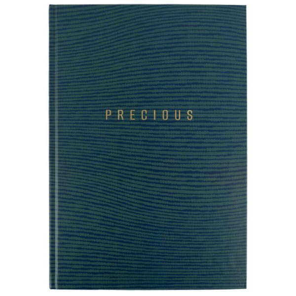 Книга обліку 96л клітинка А4 ламін. обкл. офсет EARTH COLORS Axent - Фото 8