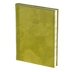 Ежедневник 2015 Стандарт Modern слп/т фисташковый