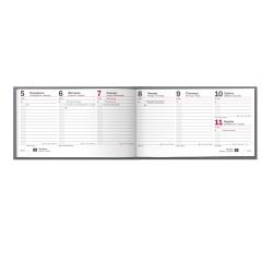 Щотижневик 2016 кишеньк. Shine срб/т сріблястий - Фото 4