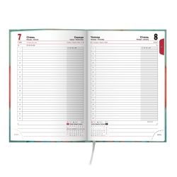 Щоденник 2016 Стандарт Графо Гапчинська 5 - Фото 4