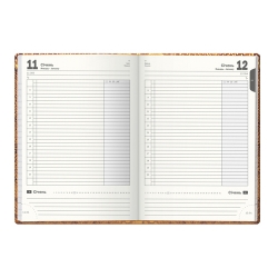 Щоденник напівдат. Престиж Pyton золотий - Фото 4