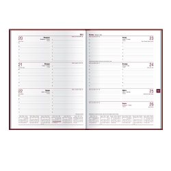 Щоденник 2016 Стандарт CALABRIA б/т фісташковий - Фото 4