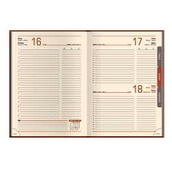 Щоденник 2016 Стандарт OSTRICH слп/т коричневий - Фото 4