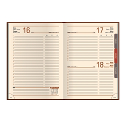 Щоденник 2016 Стандарт OSTRICH слп/т червоний - Фото 4