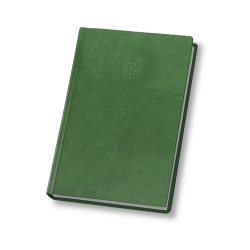 Щоденник 2016 Стандарт FANTASY слп/т зелений