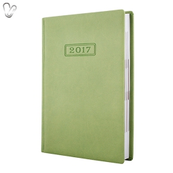 Щоденник 2017 Стандарт VIVELLA слп/т фісташковий