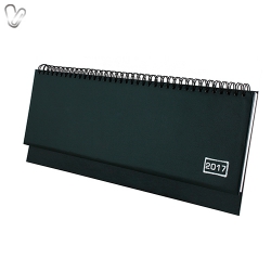 Планiнг 2017 CARIN срб/т зелений