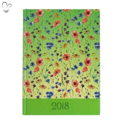 Щоденник 2018 Стандарт Provence салатовий