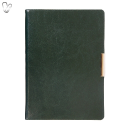Щоденник 2019 Стандарт Salerno б/т зелений