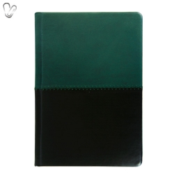 Щоденник 2018 Стандарт Quattro б/т зелений+чорний