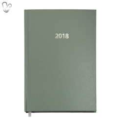 Щоденник 2018 Стандарт Strong з/т  сірий