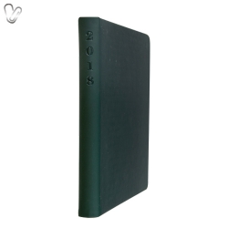 Щоденник 2019 Стандарт Touch me, зелений - Фото 6