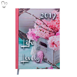 Щоденник 2019 Стандарт Romantic світло-рожевий