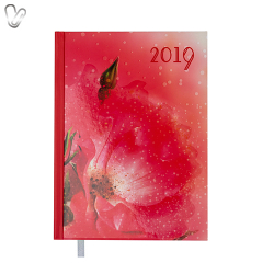 Щоденник 2019 Стандарт Spoleto кораловий
