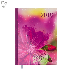 Щоденник 2019 Стандарт Spoleto малиновий