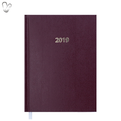 Щоденник 2019 Стандарт Strong з/т  коричневий