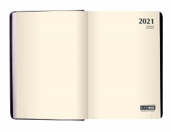 Щоденник датов. 2021 STAR, A5, золотий, штучна шкіра - Фото 10