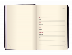 Щоденник датов. 2021 STAR, A5, золотий, штучна шкіра - Фото 10