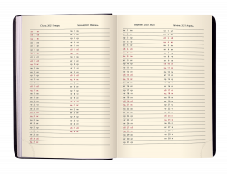 Щоденник датов. 2021 STAR, A5, золотий, штучна шкіра - Фото 10