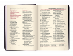 Щоденник датов. 2021 STAR, A5, золотий, штучна шкіра - Фото 10