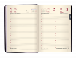 Щоденник датов. 2021 STAR, A5, золотий, штучна шкіра - Фото 10