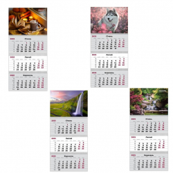Календар 2025 настінний квартальний, 298х656 мм, 3 пружини - Фото 4
